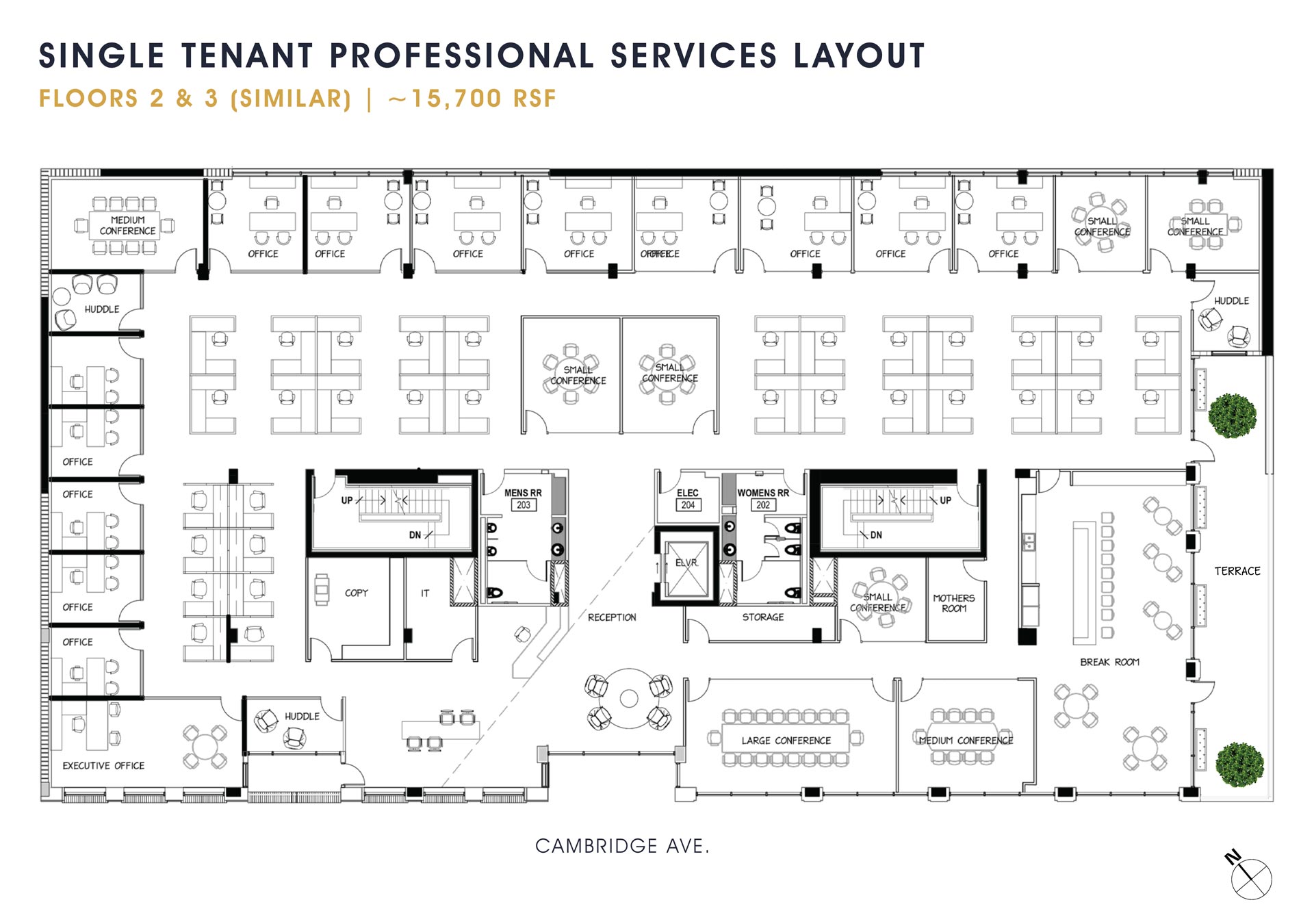 3rd Floor - Single Tenant - Professional Services
